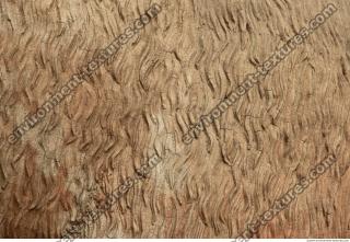 wall stucco bare 0004